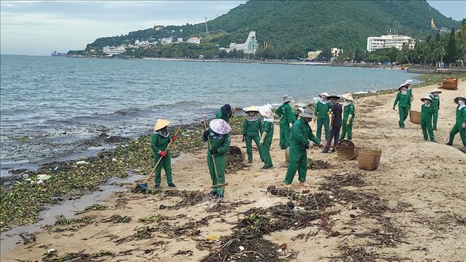 Thu gom hàng trăm tấn rác tràn vào bãi biển Vũng Tàu-2