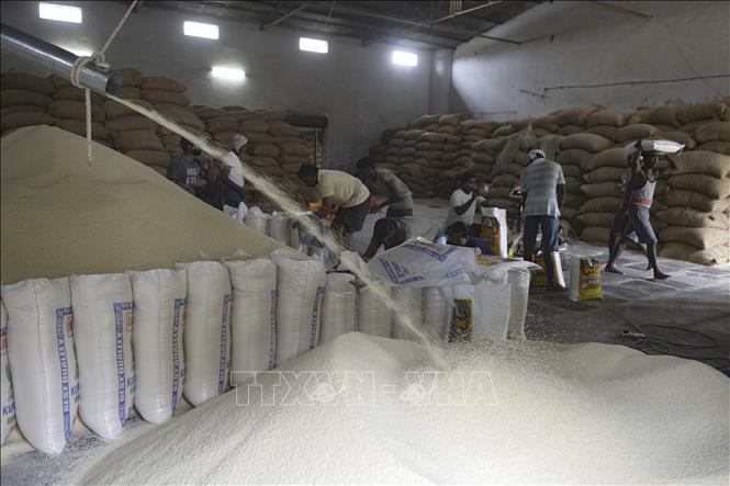 Thị trường gạo thế giới: Bấp bênh sau lệnh cấm xuất khẩu của Ấn Độ-1