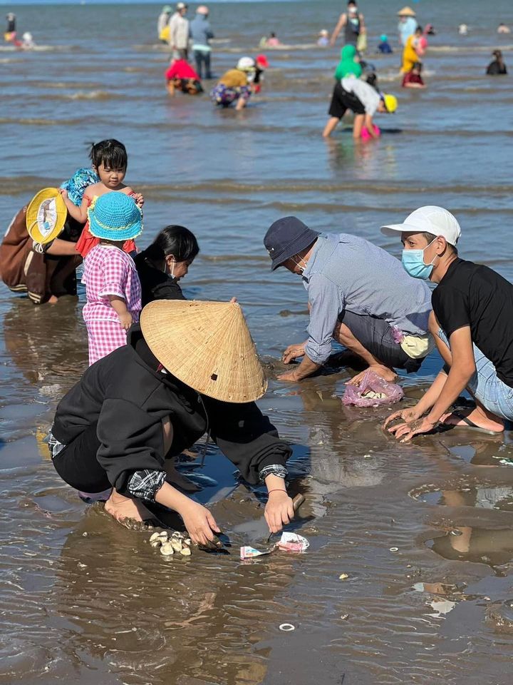Trải nghiệm cào nghêu ở biển Tân Thành đang “gây sốt”-12