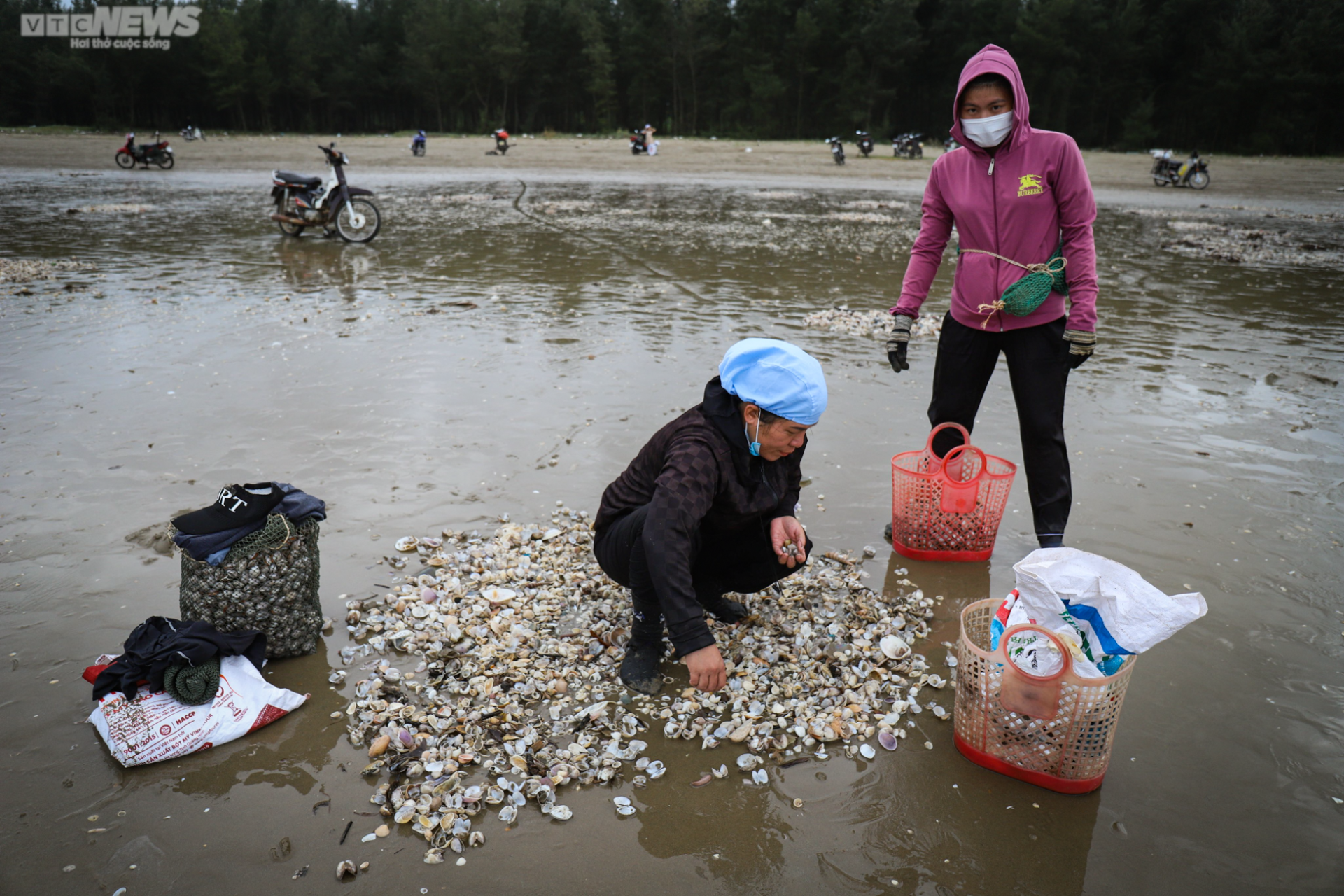 Ảnh: Người Hà Tĩnh đổ xô ra biển vớt sò lông sau mưa bão-12