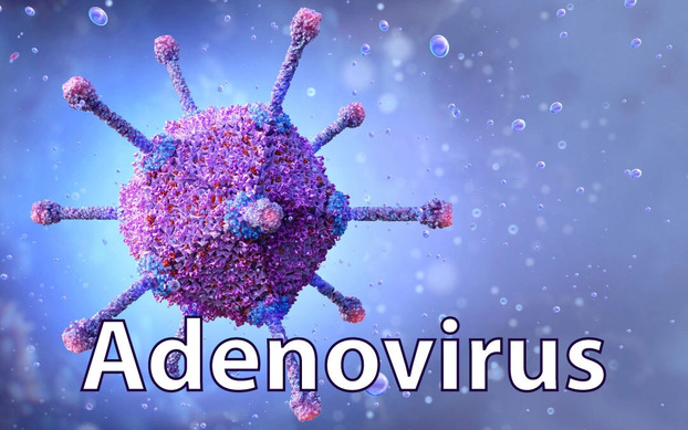 4 cách phòng chống lây nhiễm virus Adeno-1