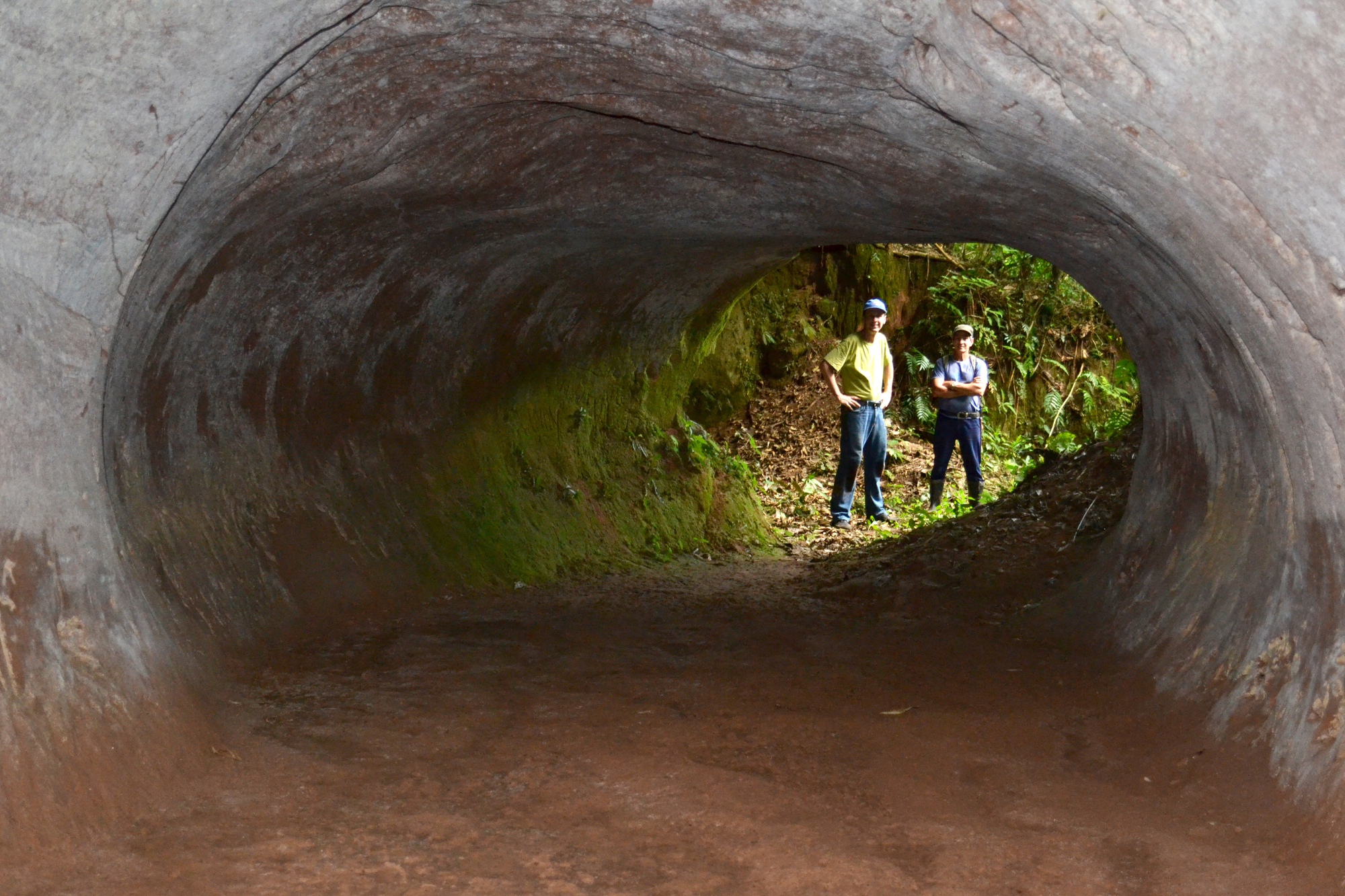 Tìm thấy 10.000 đường hầm 13.000 tuổi: Không phải do người, 'tác giả' là loài khổng lồ này-1