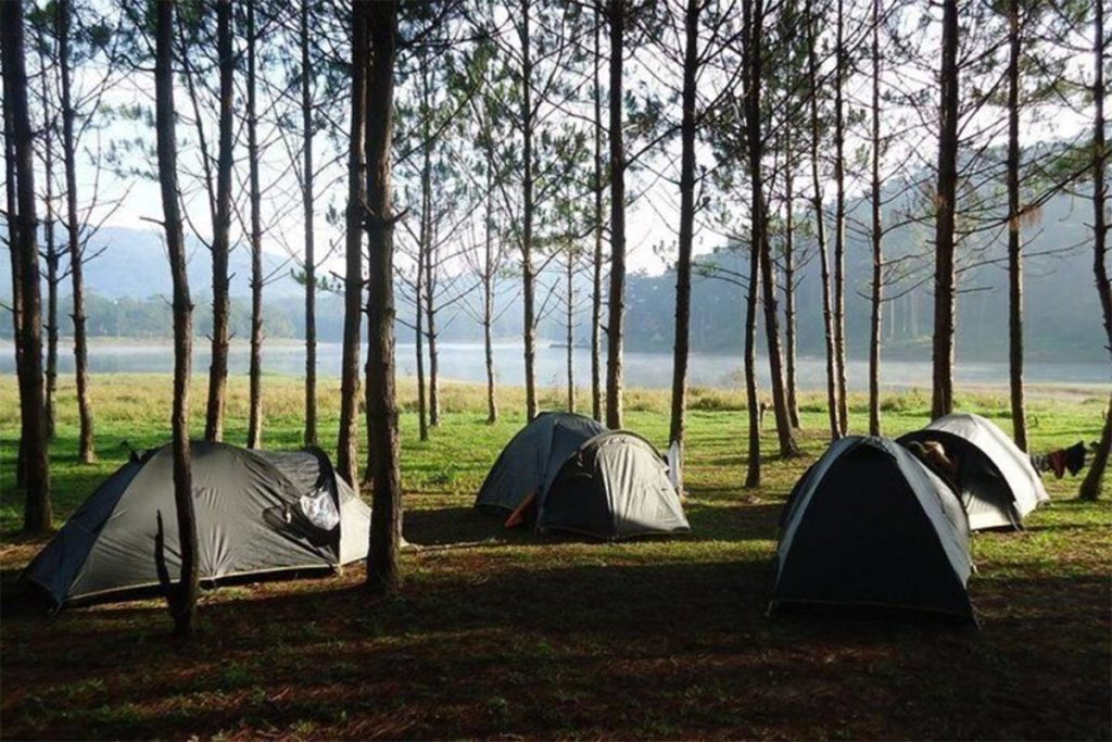 6 địa điểm cắm trại đẹp nhất ở Đà Lạt: Nơi số 3 còn được mệnh danh là "Thánh địa săn mây"-3