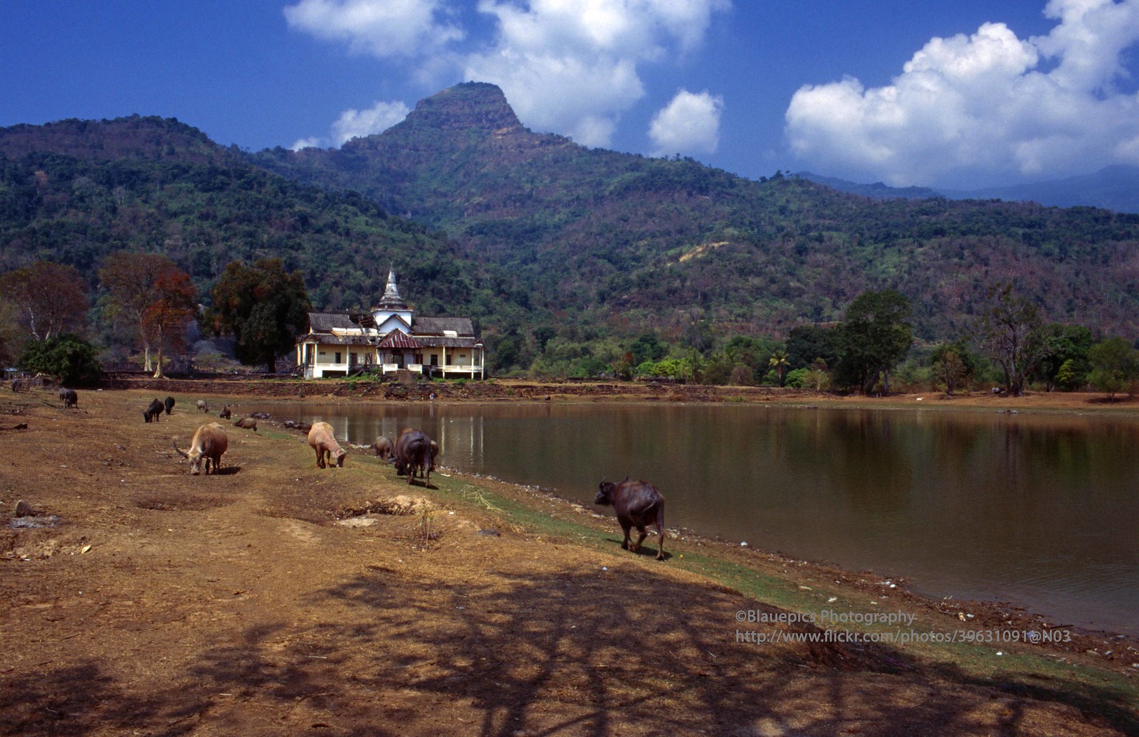 Khám phá vẻ đẹp thô mộc của đất nước Lào cuối thập niên 1990 (2)-5