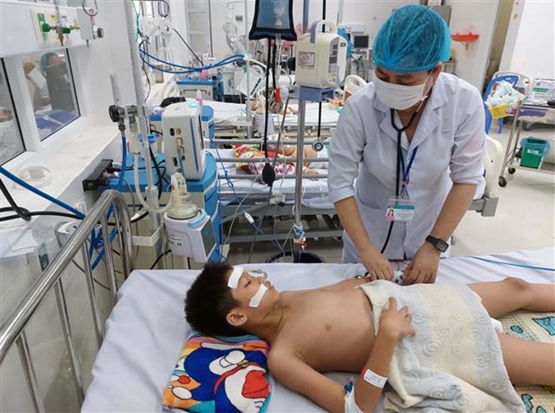 Ninh Thuận: Không để bệnh sốt xuất huyết Dengue bùng phát thành dịch-1