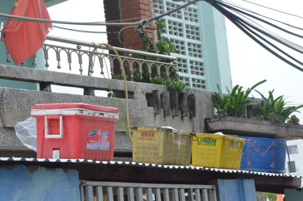 Cận cảnh người Đà Nẵng hối hả gia cố mái nhà chống siêu bão-2