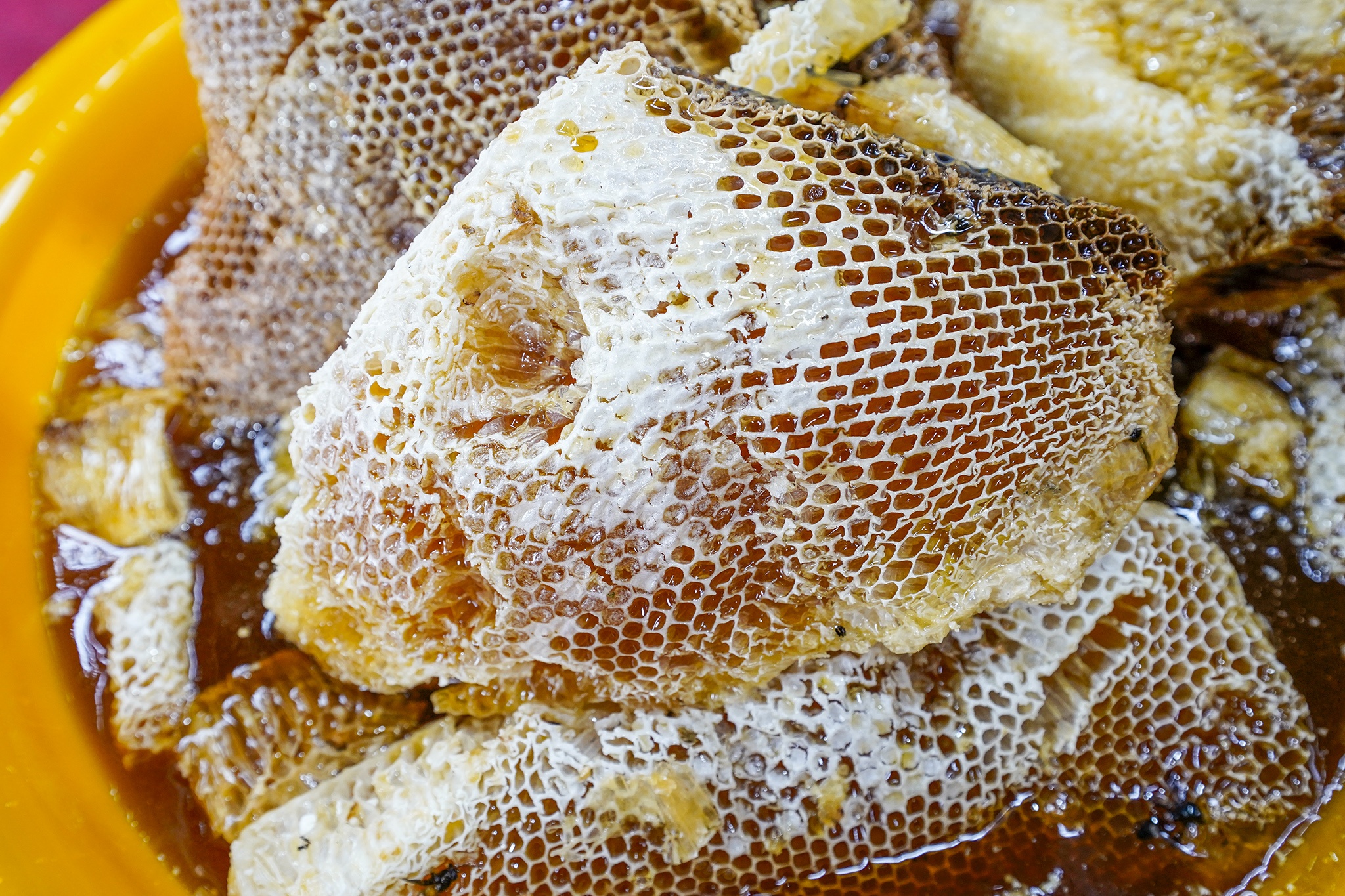 Trải nghiệm, khám phá nghề khai thác ong mật ở vùng rừng U Minh Hạ-3