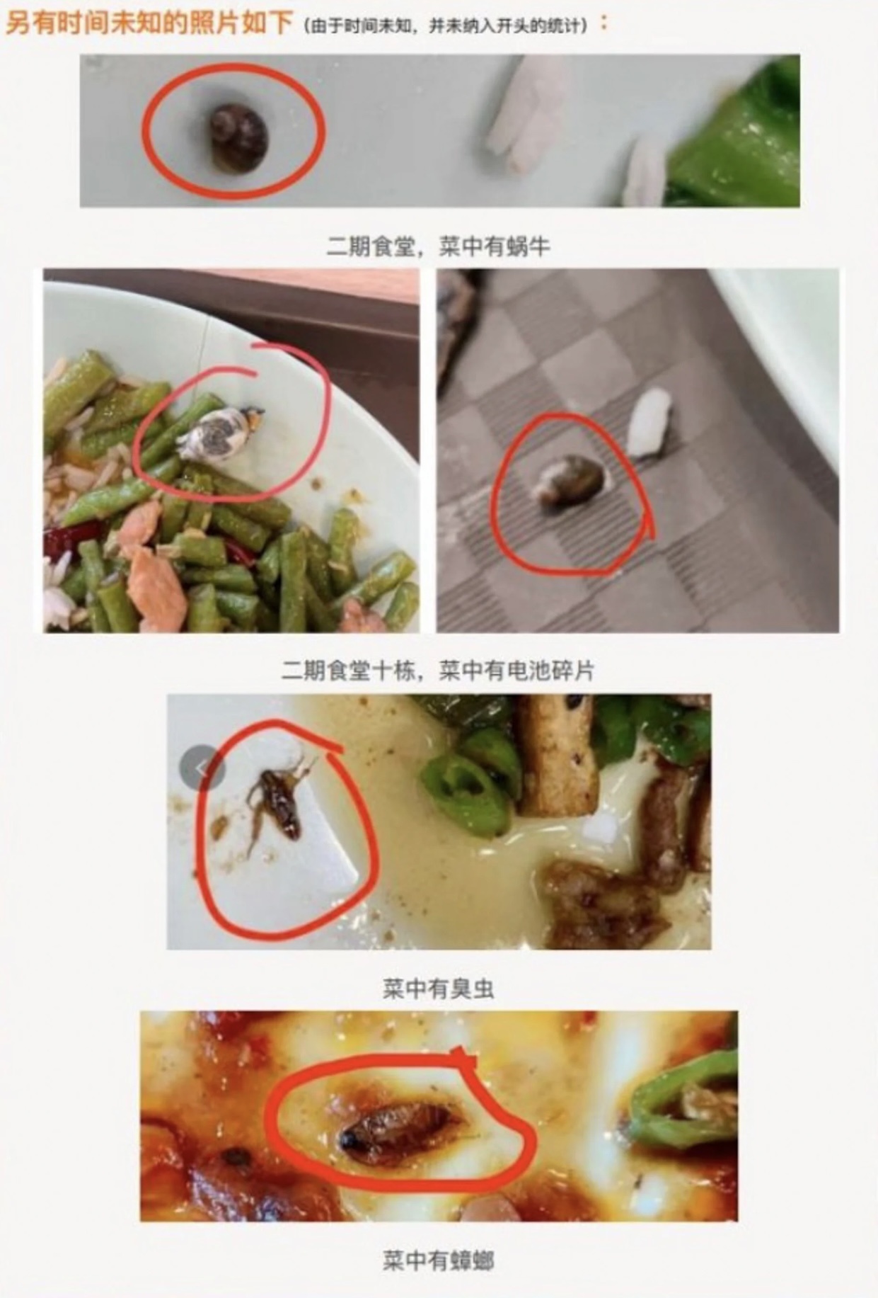 Thức ăn của canteen trường ở Trung Quốc có gián chết và pin cũ-2