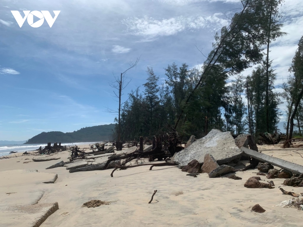 Sau bão số 4, bờ biển ở Thừa Thiên Huế tiếp tục sạt lở nghiêm trọng-2