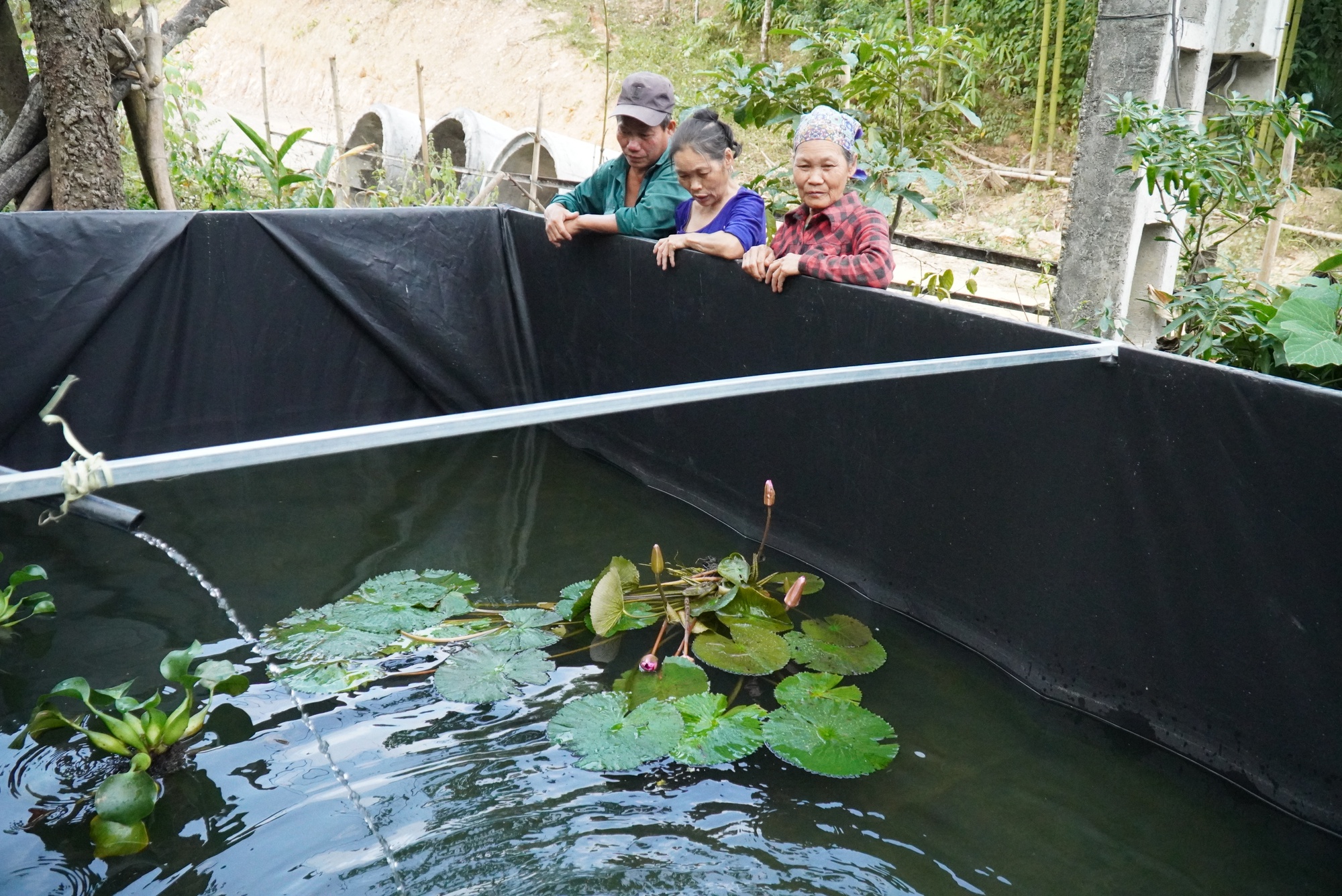 Hộ nghèo ở Phú Thọ liên kết nuôi cá lót bạt - mũi tên nhắm 2 đích-1
