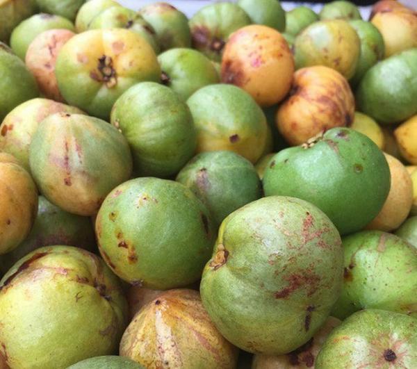 Vào rừng Quảng Ngãi hái loại quả tên lạ về ăn, chua ngọt gây nghiện lại giúp giảm cân-1
