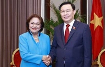 Thúc đẩy hợp tác kinh tế Việt Nam - Philippines-cover-img