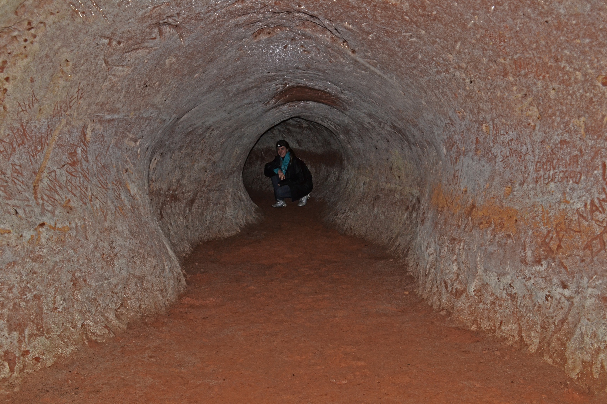 Tìm thấy 10.000 đường hầm 13.000 tuổi: Không phải do người, 'tác giả' là loài khổng lồ này-4