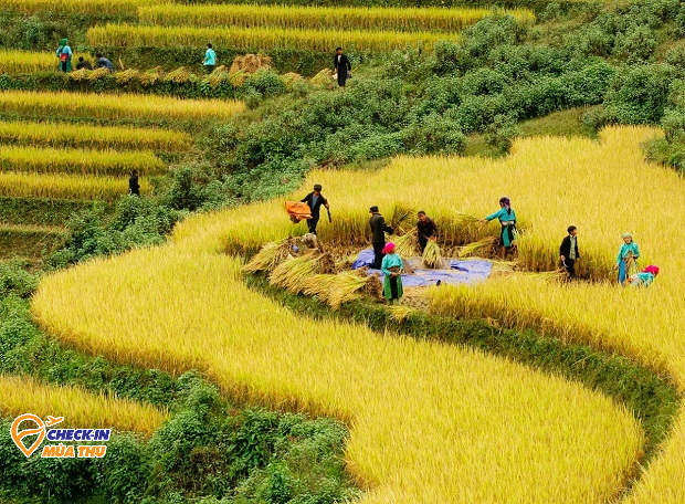 Tây Bắc mùa này có gì mà nhiều người đi đến thế: Tất cả đều mang vẻ đẹp chung của một thứ-13