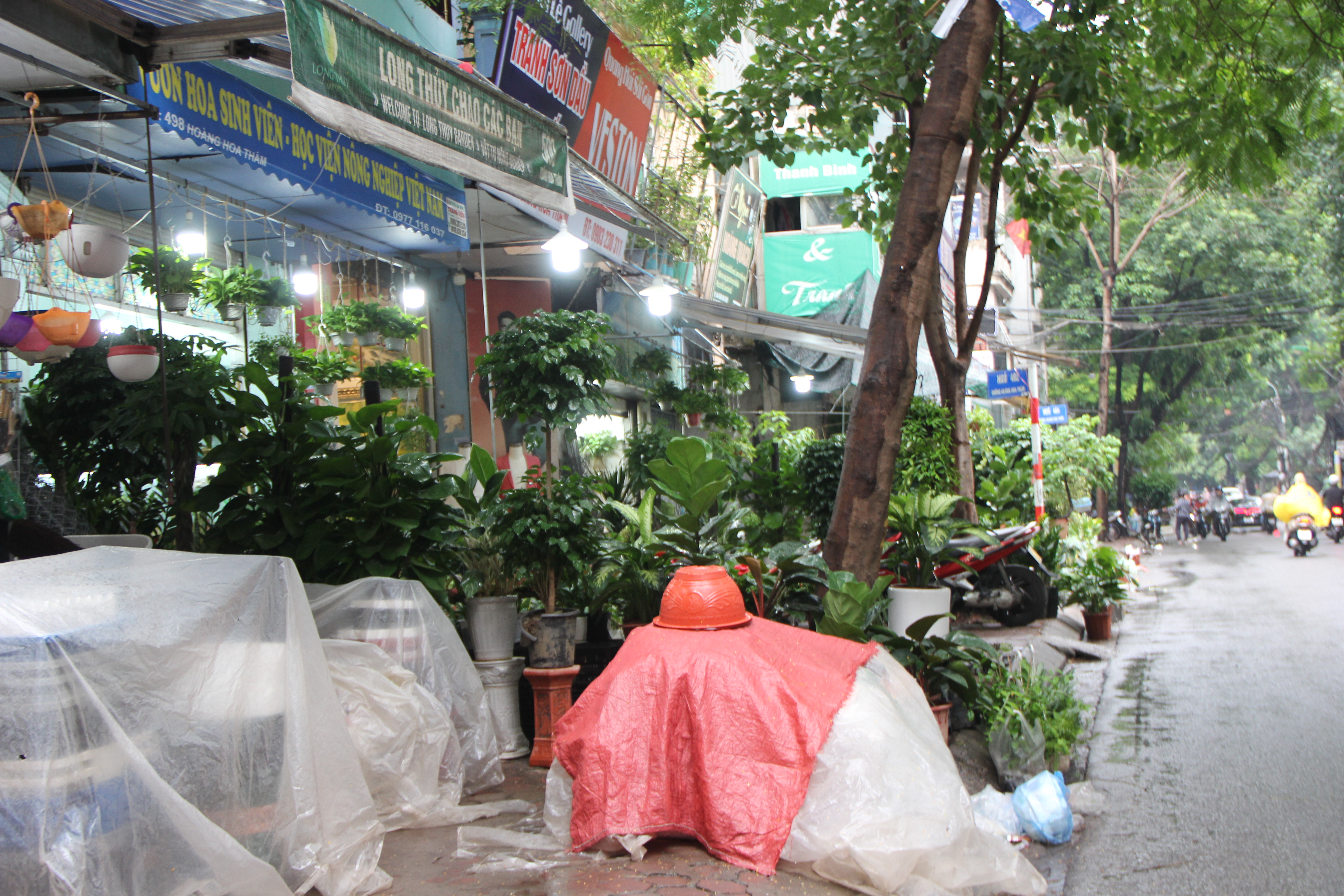 Hà Nội: Vỉa hè đường Hoàng Hoa Thám bị chiếm dụng để bày bán cây cảnh, gốm sứ-17