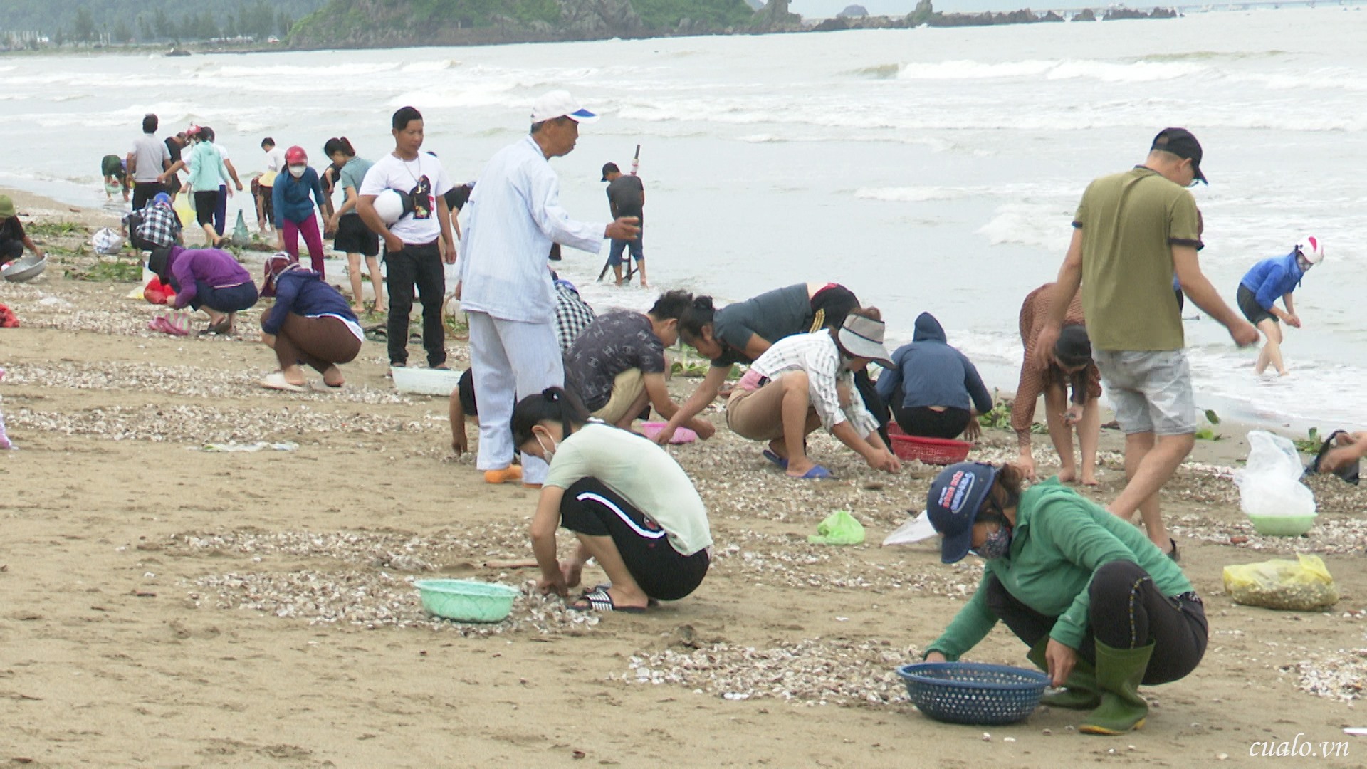 Sau bão Noru, người dân Cửa Lò hối hả nhặt sò biển dạt vào bờ-3
