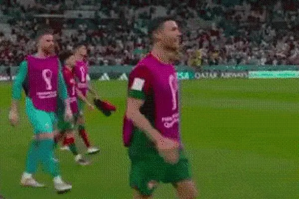 Phản ứng của Ronaldo sau khi bị FIFA tước bàn thắng-cover-img