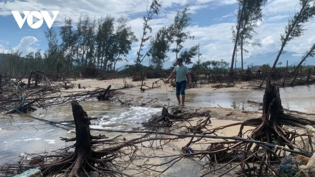 Sau bão số 4, bờ biển ở Thừa Thiên Huế tiếp tục sạt lở nghiêm trọng-cover-img