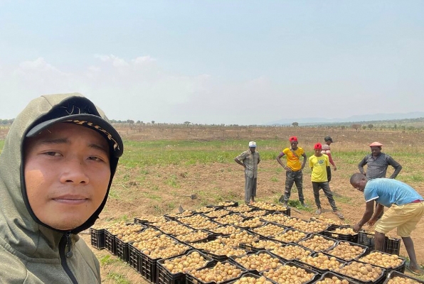 Cận cảnh nông trại xanh mướt rau củ của Quang Linh Vlog-1
