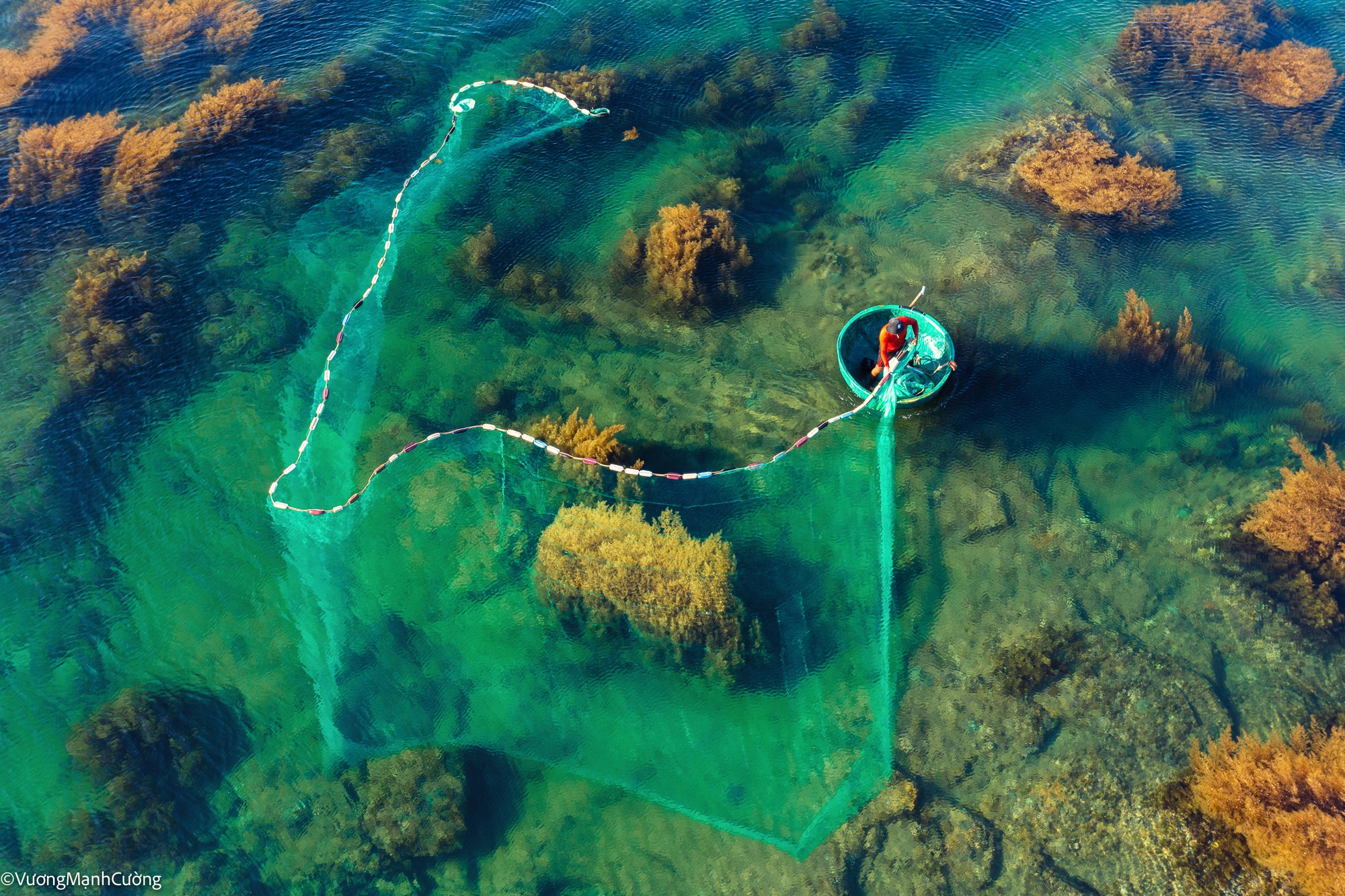 Hình ảnh ngư dân tung lưới đánh cá đầy "ảo diệu" ở Bình Định khiến ai cũng trầm trồ về cảnh sắc Việt Nam-5
