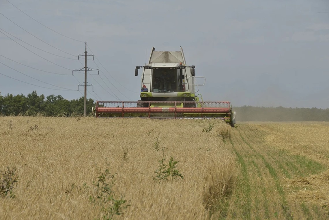 Nga đang chờ một vụ thu hoạch ngũ cốc kỷ lục-1