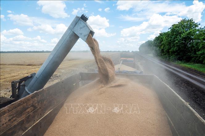 Ukraine đàm phán gia hạn thỏa thuận xuất khẩu ngũ cốc-1