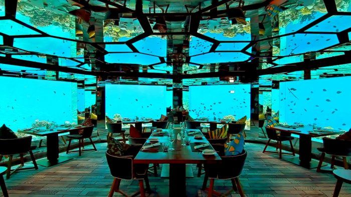 Có gì bên trong "khách sạn" 5 sao dưới đáy biển đắt đỏ nhất thế giới năm 2021?-2