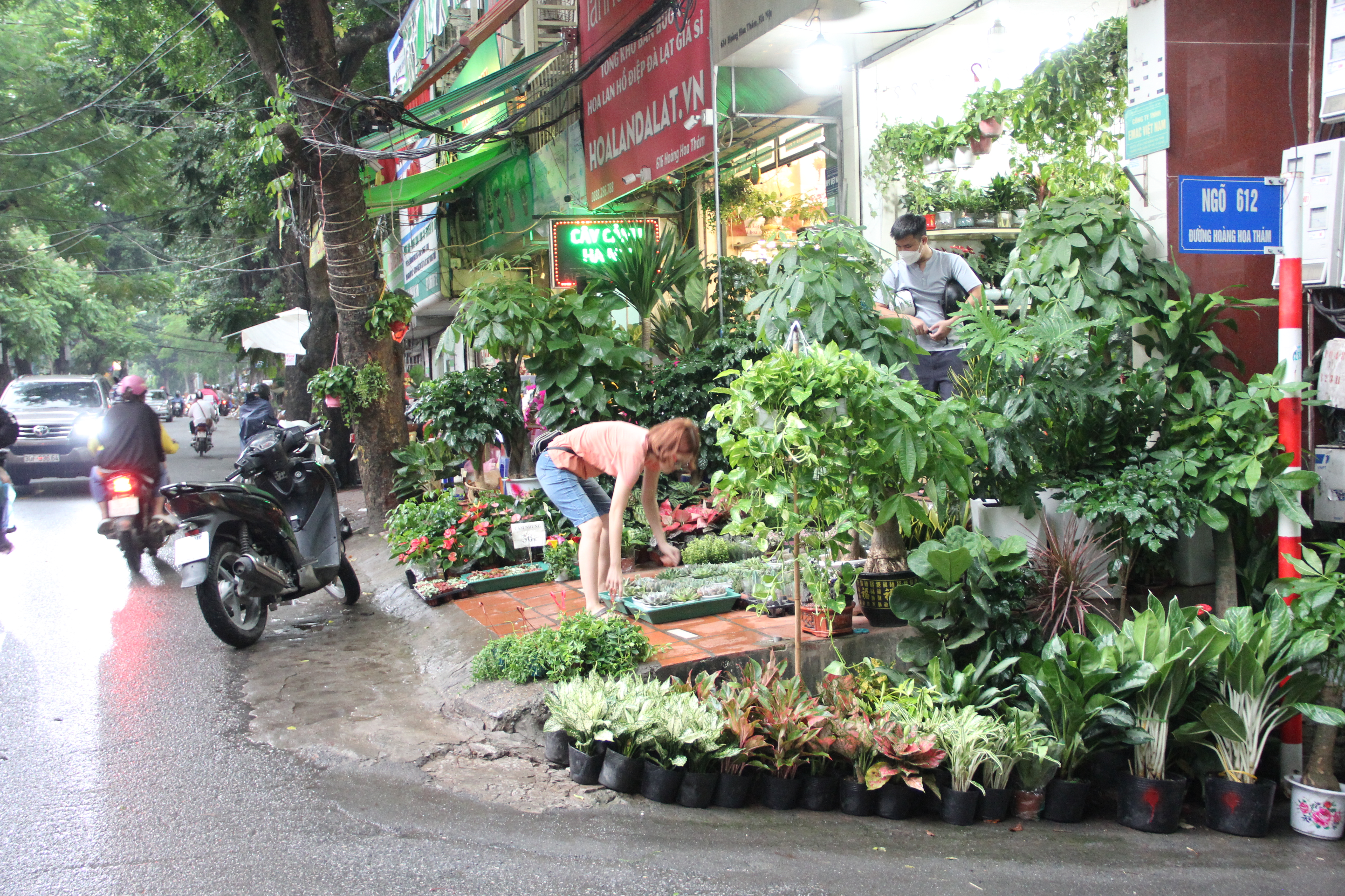 Hà Nội: Vỉa hè đường Hoàng Hoa Thám bị chiếm dụng để bày bán cây cảnh, gốm sứ-15