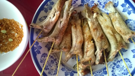 Câu cá bống dừa bằng mồi tép, bắt lên nướng muối ớt Tây Ninh, ăn chơi mà nhớ suốt đời-3