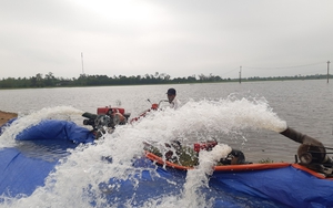 Phát hiện thi thể đang phân hủy dạt vào bờ biển Thừa Thiên Huế-4