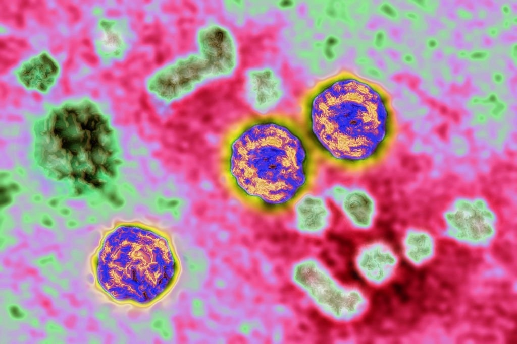 Adenovirus không nguy hiểm như nhiều người lo sợ-1