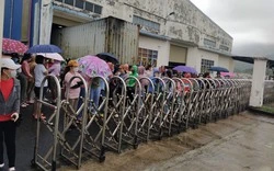 Nghi ngờ công ty sắp giải thể, hàng loạt công nhân ở Đà Nẵng tụ tập dưới mưa đòi quyền lợi-cover-img