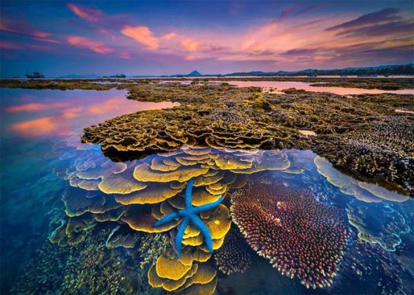 Hòn đảo có rạn san hô trên cạn độc đáo ở Phú Yên, du khách không được làm một điều-2