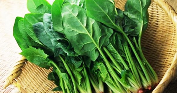 6 loại rau là ‘vựa protein’ ăn nhiều cơ săn chắc lại không lo tác dụng phụ-2