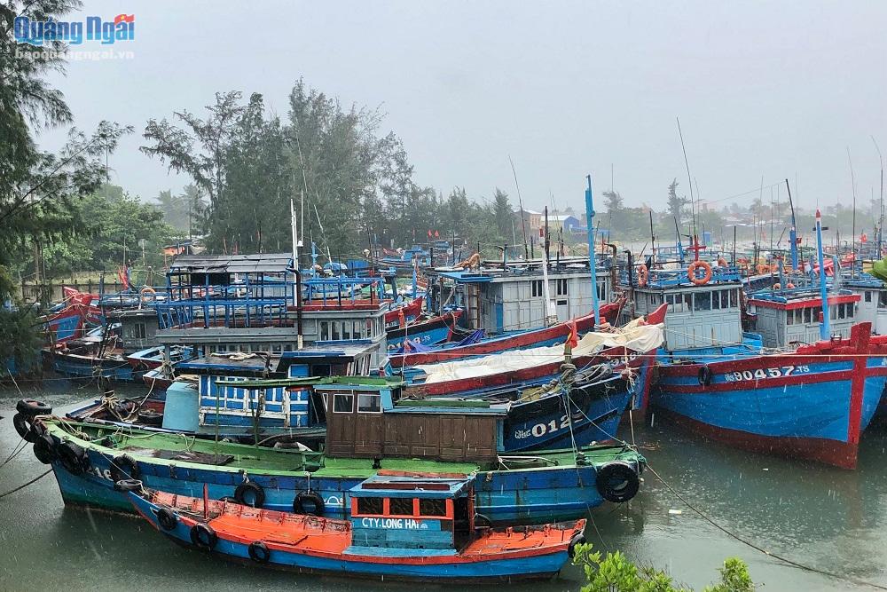 Hơn 10 nghìn hộ dân ở Bình Sơn đã sơ tán đến nơi an toàn-4