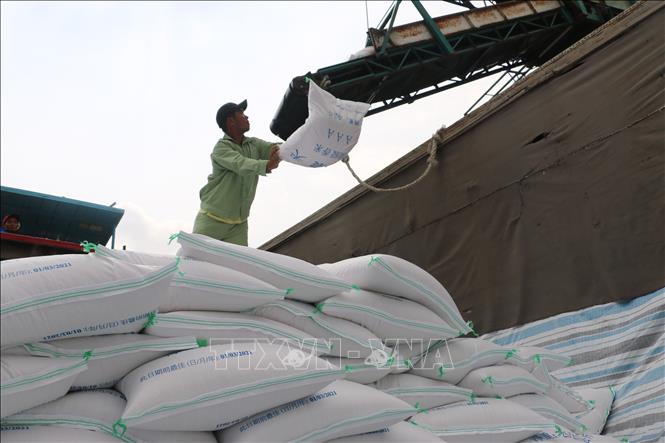 Xuất khẩu gạo Việt Nam có khả năng vượt kế hoạch-1