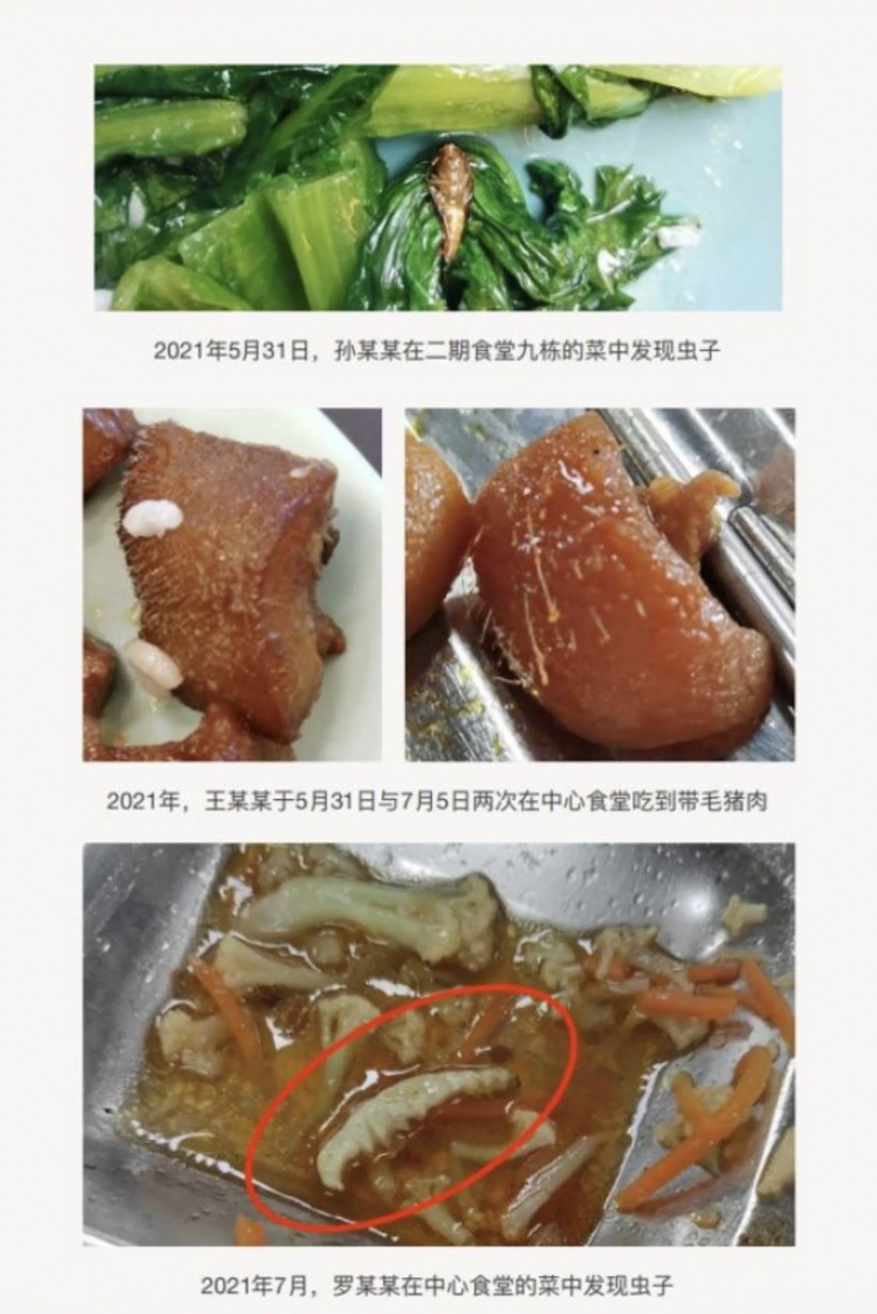 Thức ăn của canteen trường ở Trung Quốc có gián chết và pin cũ-4