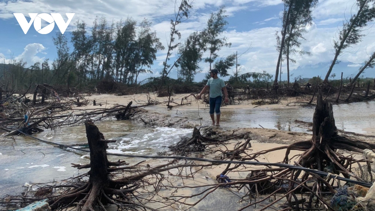 Sau bão số 4, bờ biển ở Thừa Thiên Huế tiếp tục sạt lở nghiêm trọng-1