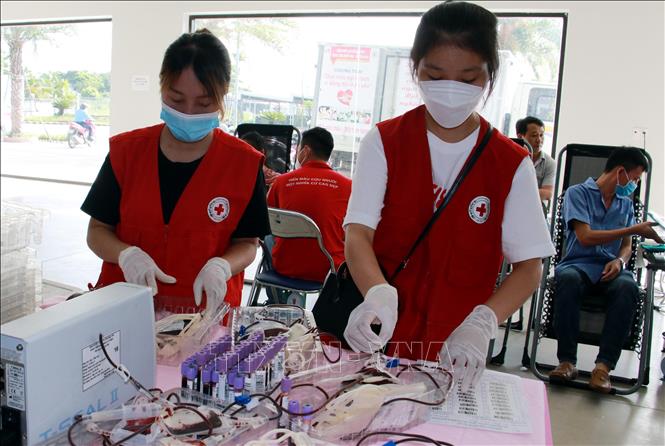 Nam Định đẩy mạnh phát triển phong trào hiến máu tại khu công nghiệp-3