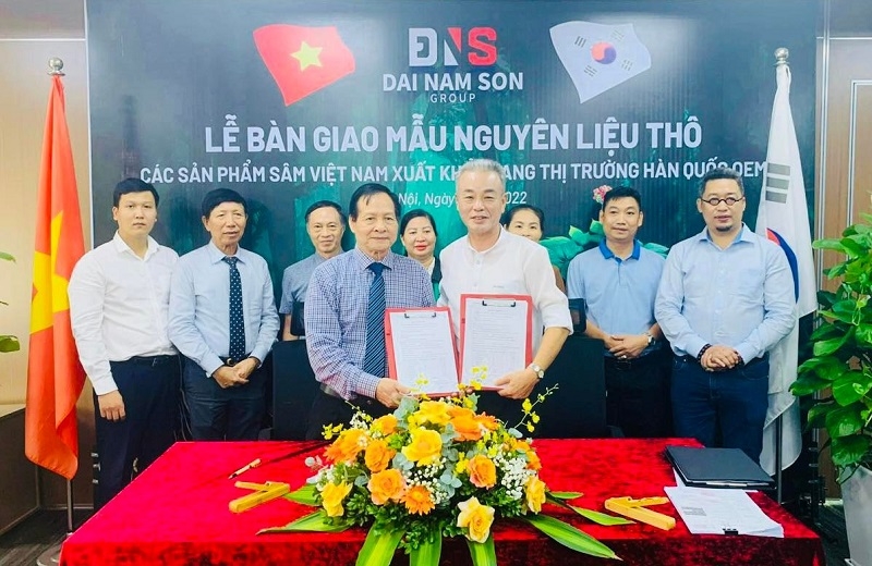 Đại Nam Sơn Group tạo bước tiến lớn trong lĩnh vực hợp tác sản xuất, chế biến sản phẩm sâm Việt Nam-1