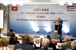 Thúc đẩy quan hệ đầu tư thương mại giữa Việt Nam và Cuba-cover-img