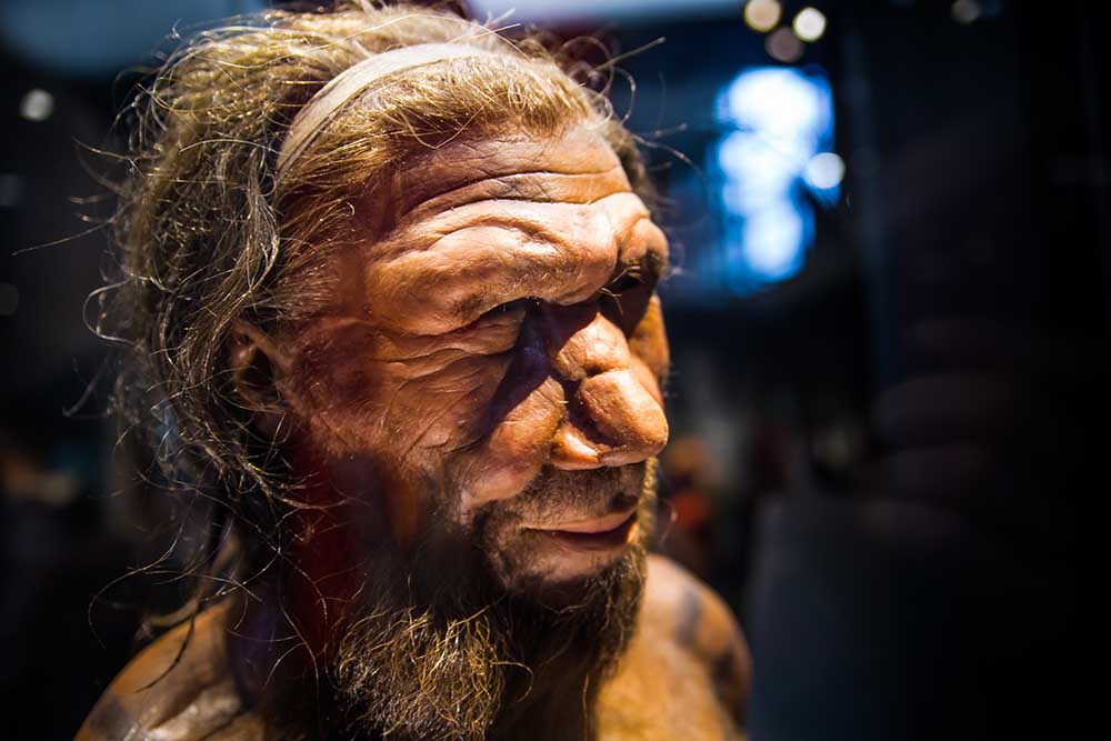 Vì sao người Neanderthal huyền thoại đột ngột biến mất khỏi Trái đất?-9