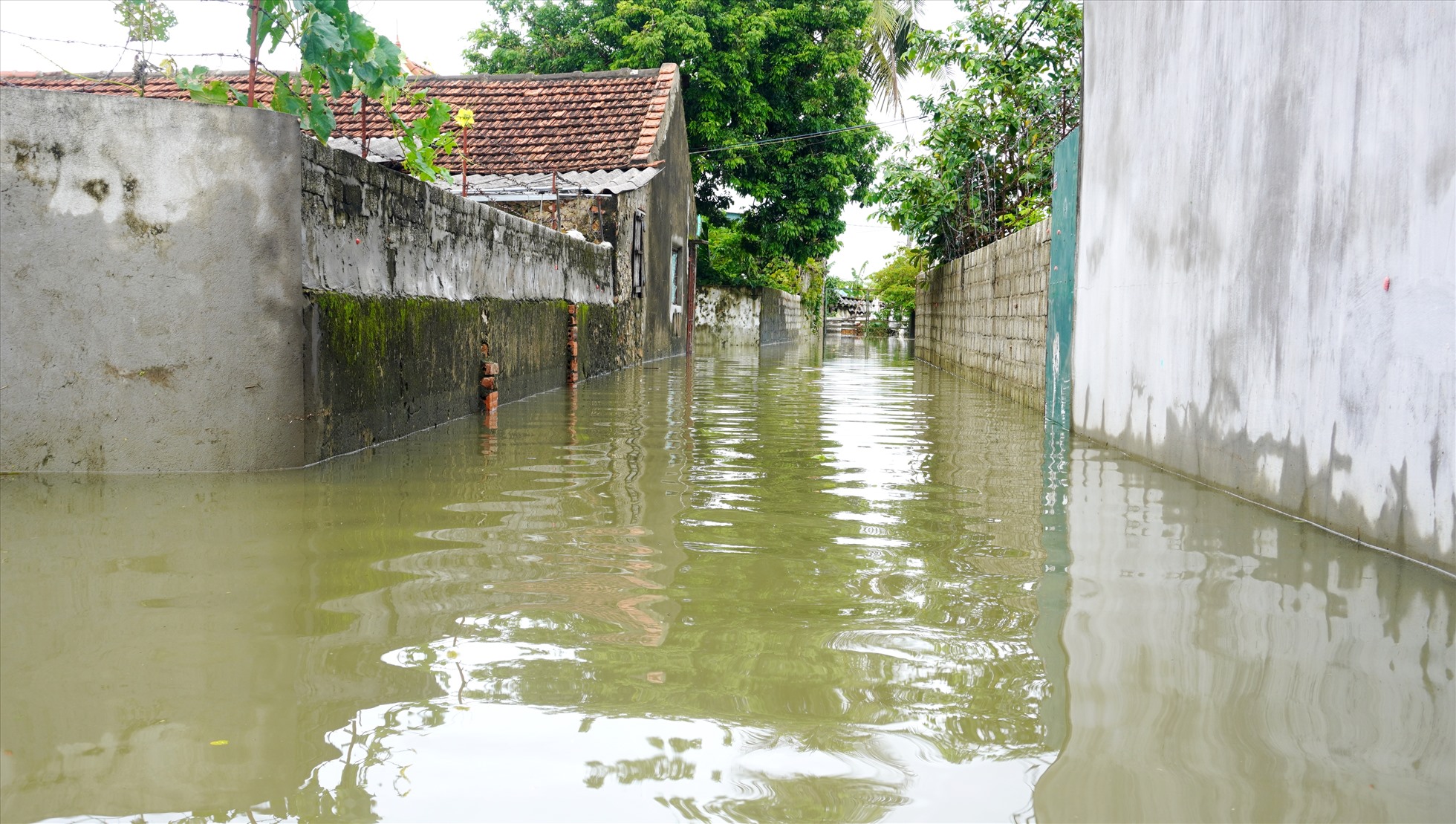 Nghệ An: Người dân trèo xe tải băng qua dòng nước lũ để về nhà-12