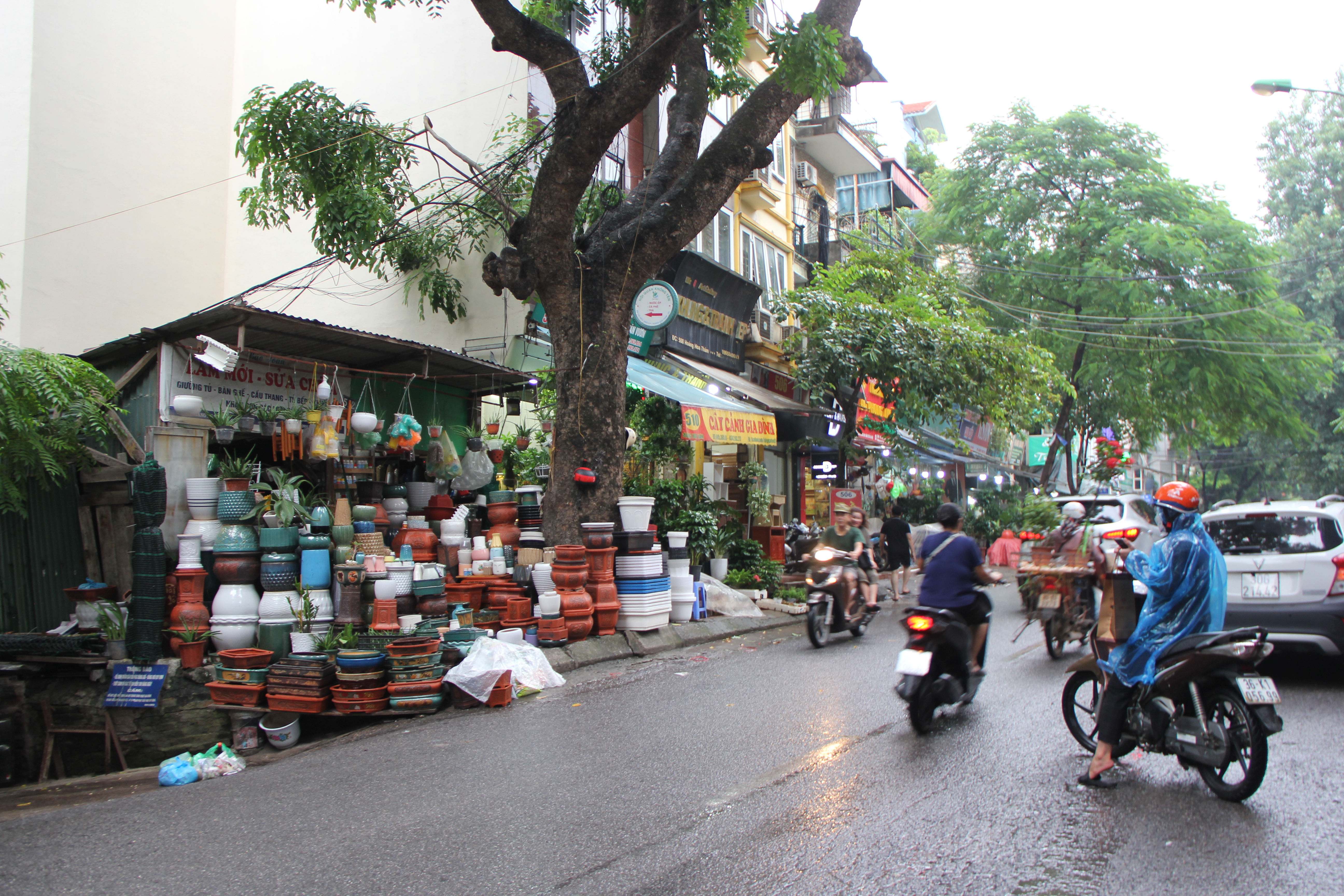 Hà Nội: Vỉa hè đường Hoàng Hoa Thám bị chiếm dụng để bày bán cây cảnh, gốm sứ-12