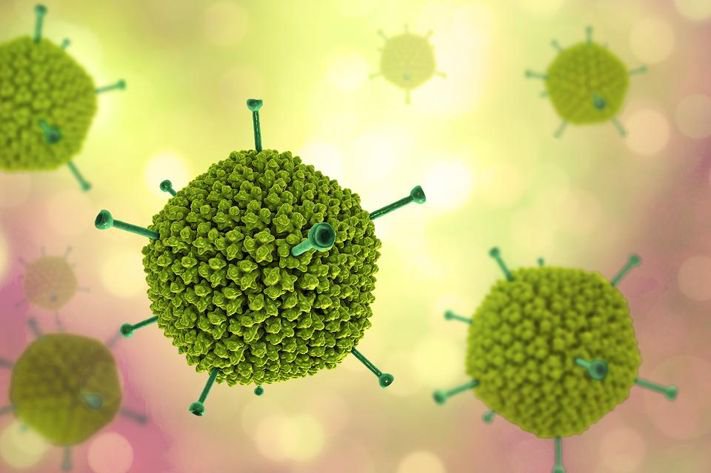 Adenovirus có thể gây ra những bệnh gì, mắc rồi có mắc lại không?-1