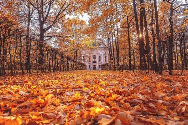 Top 5 địa điểm đẹp nhất để đi dạo ở Moscow (Nga) vào mùa thu-6
