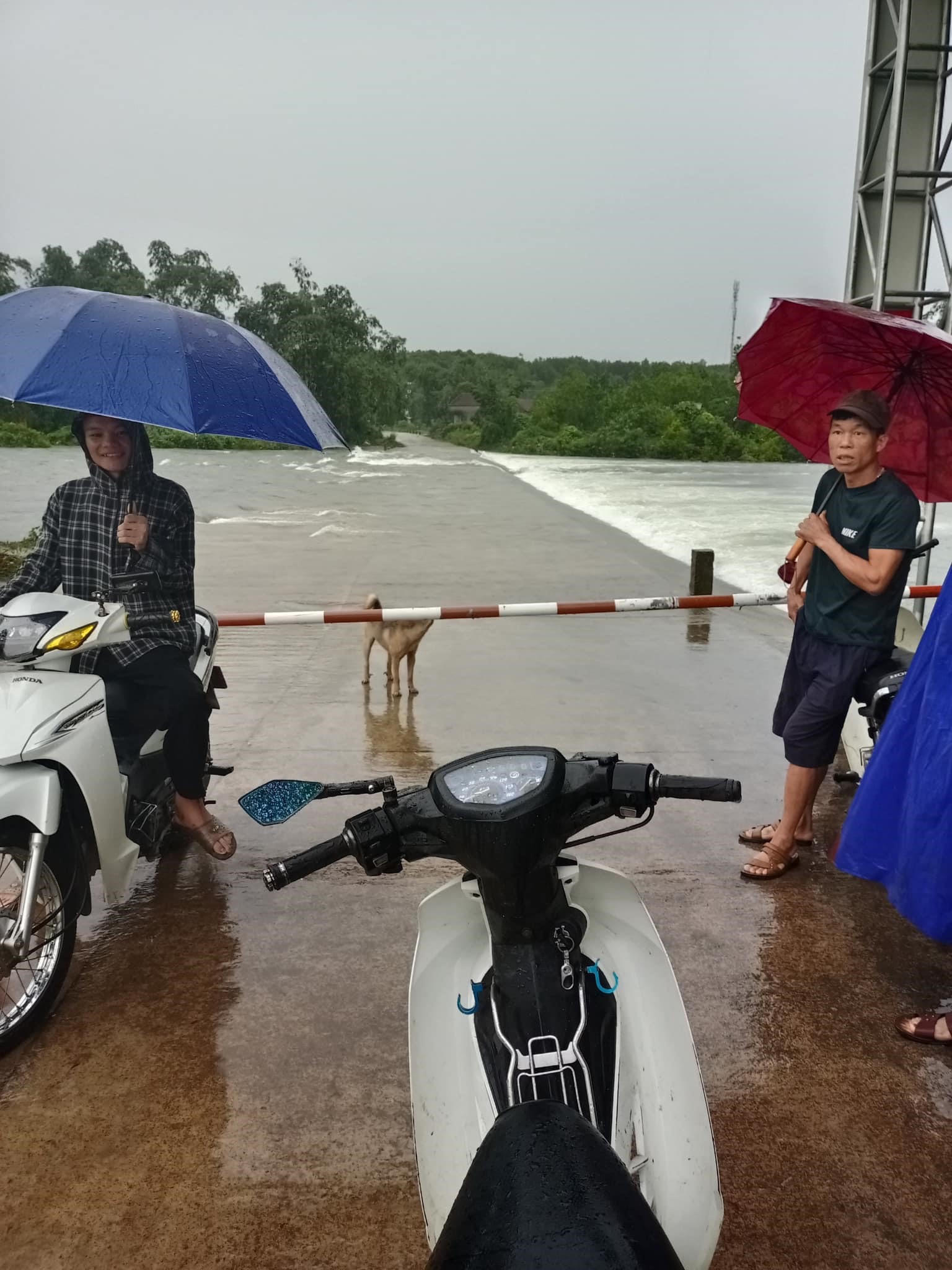 Quảng Ninh: Nhiều địa phương ngập úng cục bộ sau mưa lớn-5