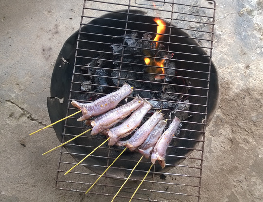 Câu cá bống dừa bằng mồi tép, bắt lên nướng muối ớt Tây Ninh, ăn chơi mà nhớ suốt đời-2