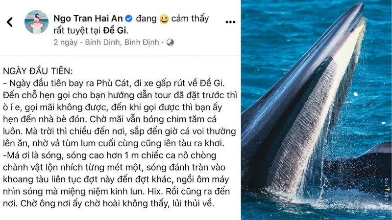 May mắn hơn nữ luật sư Woo Young Woo, travel blogger Hải An thành công săn ảnh cá voi ở biển Đề Gi-7