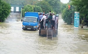 Nghệ An: Người dân trèo xe tải băng qua dòng nước lũ để về nhà-cover-img